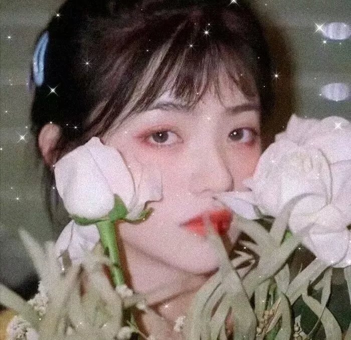 何加加的桃花源记